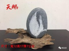 梅玺堂/全国免费奇石展示（第66期节选）