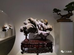 在凡尘与爱石结缘，共鸣，相依相伴