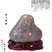 洛阳石界女强人陈忆秋与她的《秋石轩》 图