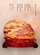 透过《于公赏石》知悉台湾赏石人的资讯