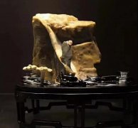 玩石者要避免成为想发财穷得快的人 图