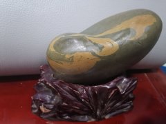 赏石友禽鸟石图 似进鸟之乐园（组图）