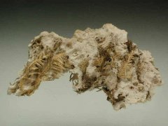 金石世界的原石真是丰富多彩 图