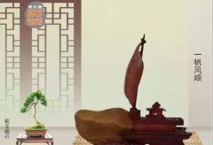 话说组合石的意境: 玩石就是反复钻研的过程! 