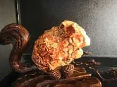 呼和浩首届一带一路石博会举行盛大欢迎宴会