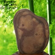 秋色关不住