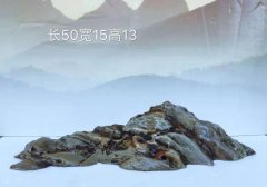 欣赏杨正山先生收藏的山形九龙壁 组图