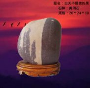 玩石头只要不出局，就永远有希望！