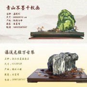 慧眼识宝：朱富有精典汉江石欣赏