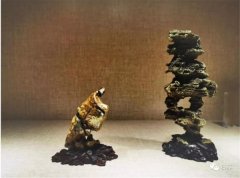 “塑造品牌，融合发展”引领石界赏石理念