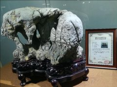 《赏石之路》节目跟踪报道～中国观象拍卖会