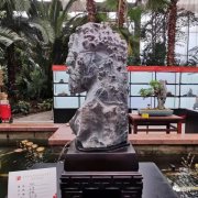 中国天津首届运河杯赏石艺术展精品美石欣赏 