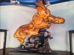 中国·天津首届运河杯盆景赏石艺术展盛大开幕