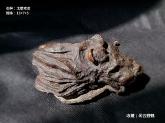 老皮戈壁石老水牛欣赏 图