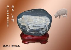 汉江奇石五彩缤纷 十二生肖惟妙惟肖 图