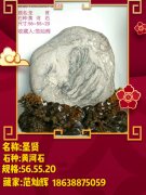 在家闲着也是闲着 看看哪方奇石能收藏