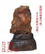 分享海南省赏石文化协会会长陈忠英的藏品 图