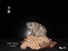 这个年我没感觉到“憋”，我是赏石人