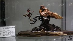 石友们常问的问题，听高手如何解答