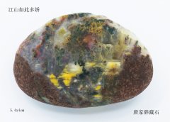 每日一石：欣赏雨花石《江山如此多娇》 图
