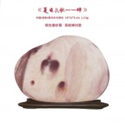 洛阳黄河滩上还能捡到这么好的美石 组图