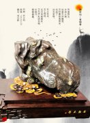 新兴便利的电子版赏石刊物《于公赏石》 图