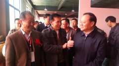 打造品牌展会 助推赏石文化发展 图