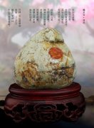 《于公赏石》为石友提供石界精彩信息（续）