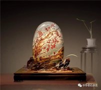 山西石界新锐藏家解会忠与名石《红梅礼赞》