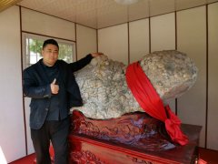 信阳火山蛋奇石之（辈辈发财） 图