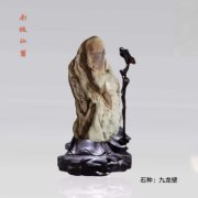 豫北鹤壁奇石玩家杨玉宽藏品欣赏（续）