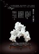 《于公赏石》2020年第9期杂志如期而至 图