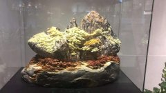 2020第二届中国（杭州）赏石艺术节暨首届国际黄蜡石文化艺术节盛大开幕
