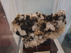 河南石界访冀代表团第三站来到美丽的承德 图