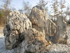 石界必须打破所谓文化、艺术壁垒 图