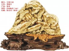 海南省赏石文化协会石友之家开业大吉 