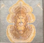 河北水渍岩画模树石的风采 图