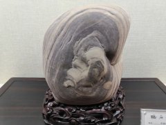 河洛大地耀眼的璀璨明珠——《听石馆》 图