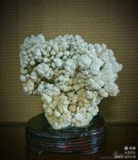 洛阳奇石藏家李祥义作品欣赏（下）