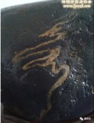建安风‖ 黄河滩上我的家 图