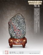 看河洛大地第一家私人奇石博物馆的风采