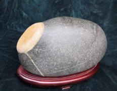奇石《醉坛》的故事 图