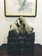 玩了这么多年石头，最大的收获就是交了一帮朋友