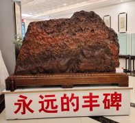 “雅石颂党”主题展览获得圆满成功