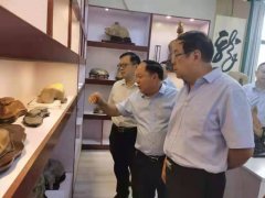 淮南市观赏石协会开展第十个全国8.30赏石日活动