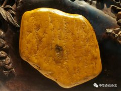 2021第三届中国（杭州）赏石艺术节暨第二届黄蜡石文化艺术节开幕