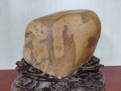 集思广益群策群力共谋赏石文化及产业发展