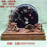 洛阳奇石古玩文化城中的《辛成奇石博物馆》