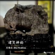 《寸升说事》名士陈绍卫与名石“通灵禅韵”