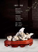 《于公赏石》带您品美石学鉴赏知识